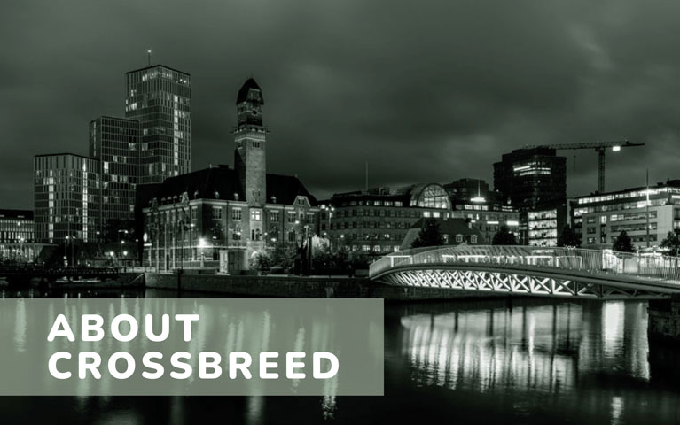 aboutcrossbreed-top-text-mobile-webb